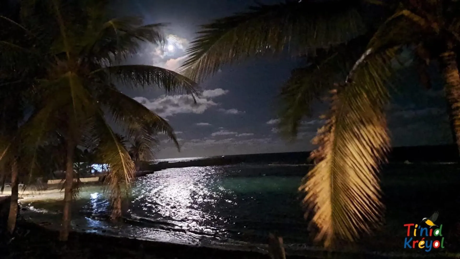 Studio Cosy Classe 2 Etoiles Ti'Nid Kreyol - Manganao Saint Francois - Detente Au Bord De La Plage Et De La Piscine Guadeloupe